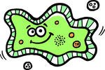 primitive life form